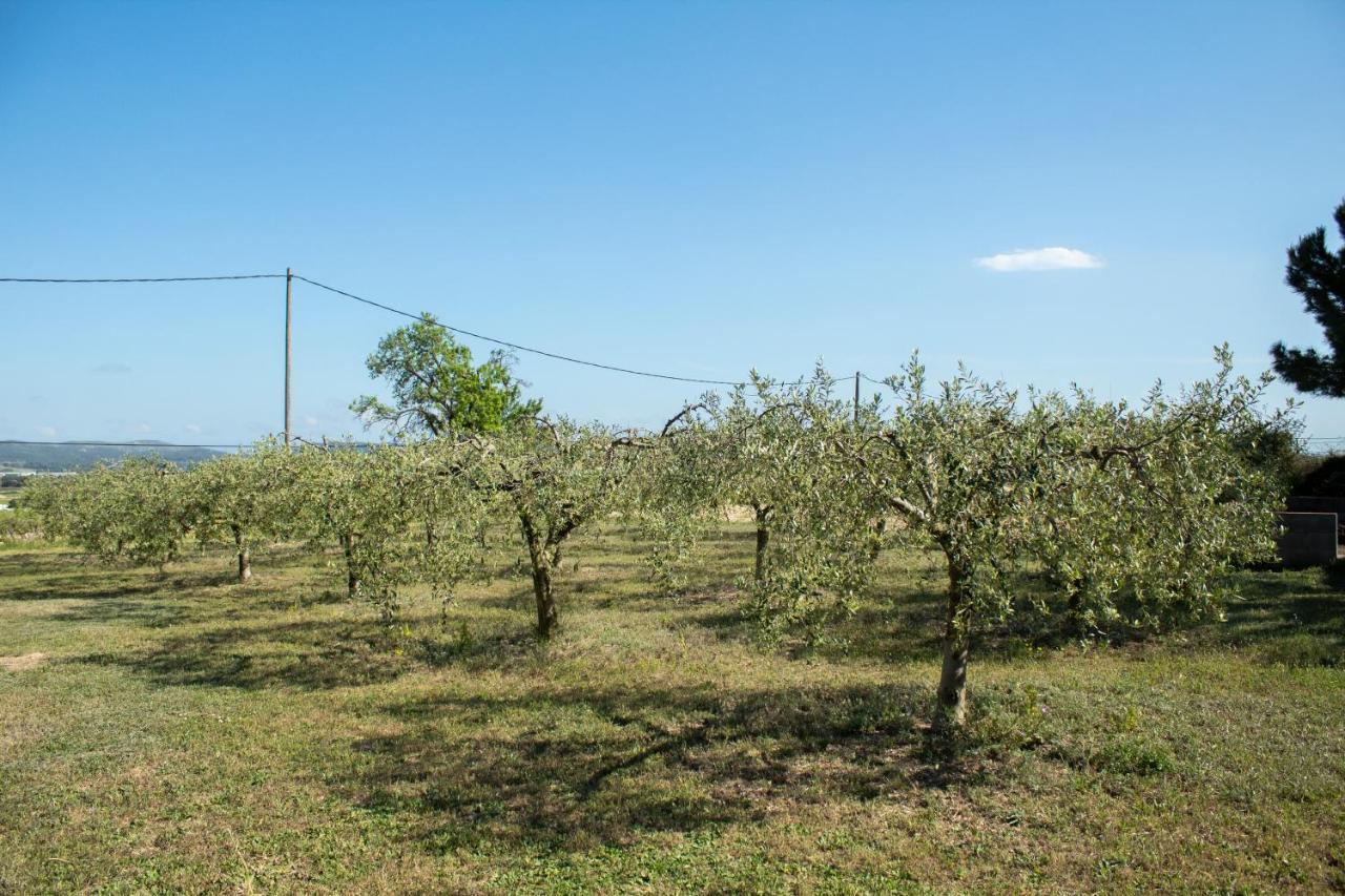 Villa Romegosa Benestar Sant Marcal Esterno foto