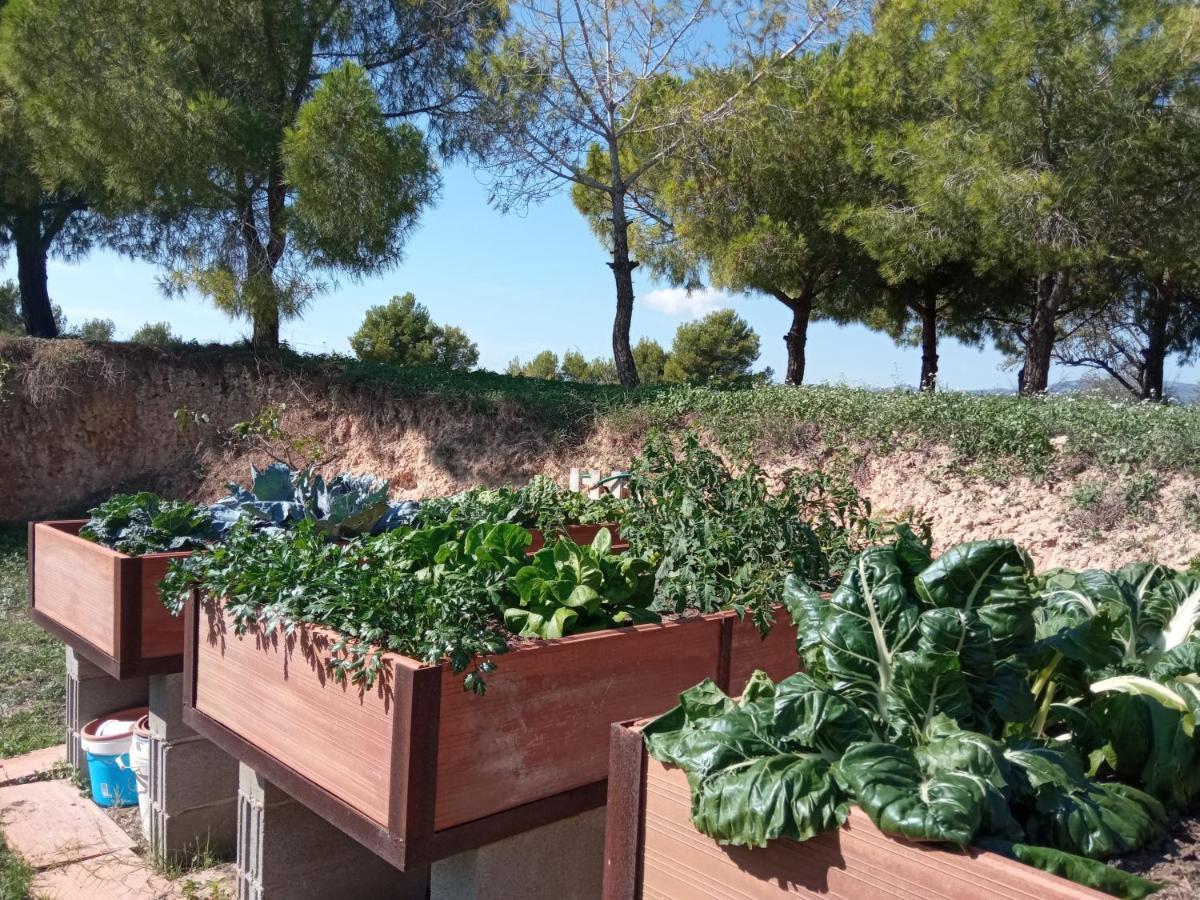 Villa Romegosa Benestar Sant Marcal Esterno foto